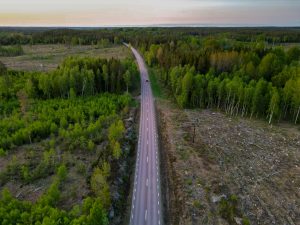 Illustrative forest road with a car, not a Volvo automated-driving demonstration