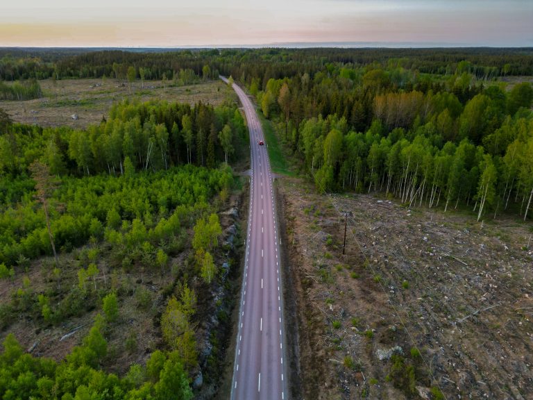 Illustrative forest road with a car, not a Volvo automated-driving demonstration